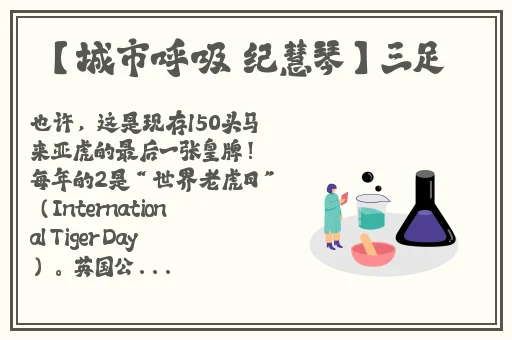 亚洲精品98页